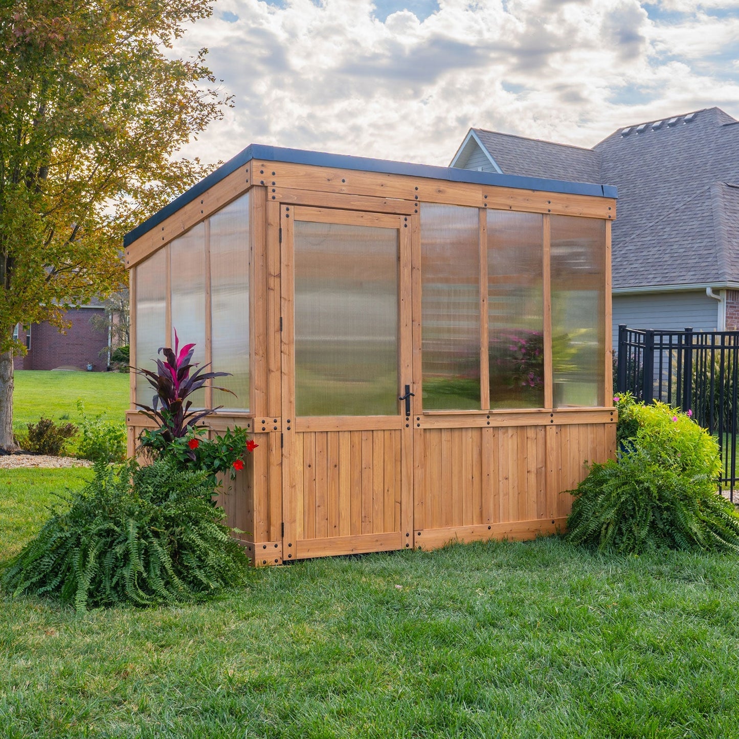 Premium 9x6 Willow Greenhouse