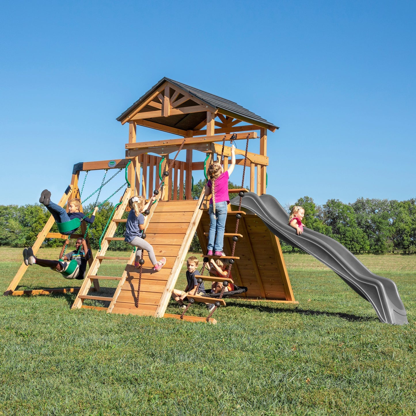 Premium Endeavor Swing Set