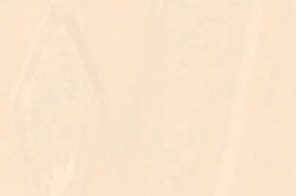 Premium Iron Strike Serefina Cast Iron Direct Vent Gas Stove 28k BTU