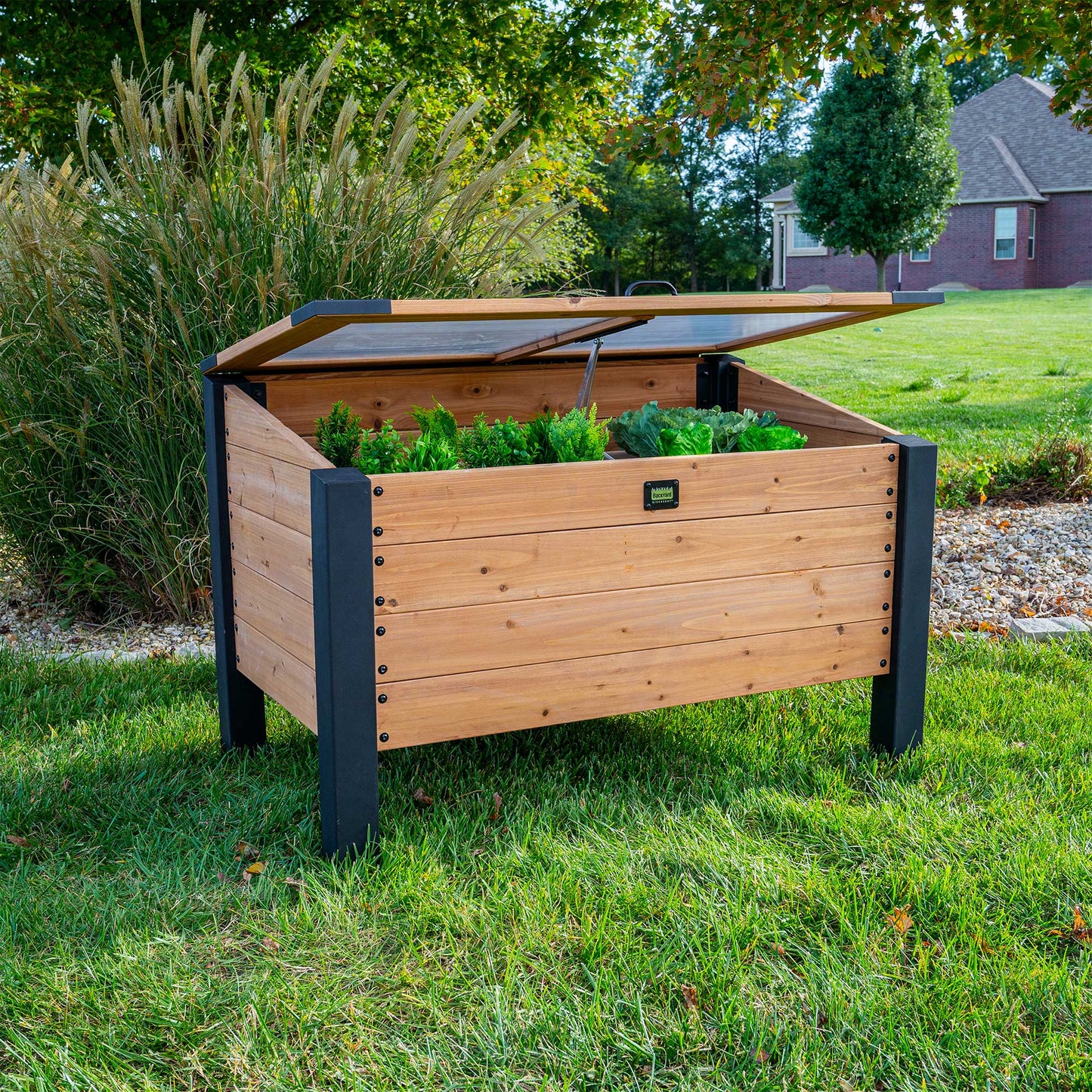 Premium Aggie Cold Frame Box